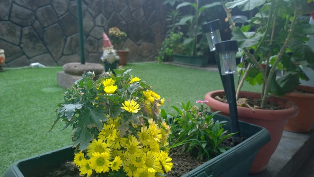 Bed & Breakfast Blumen Haus Santiago Exterior foto