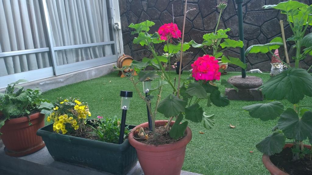 Bed & Breakfast Blumen Haus Santiago Exterior foto