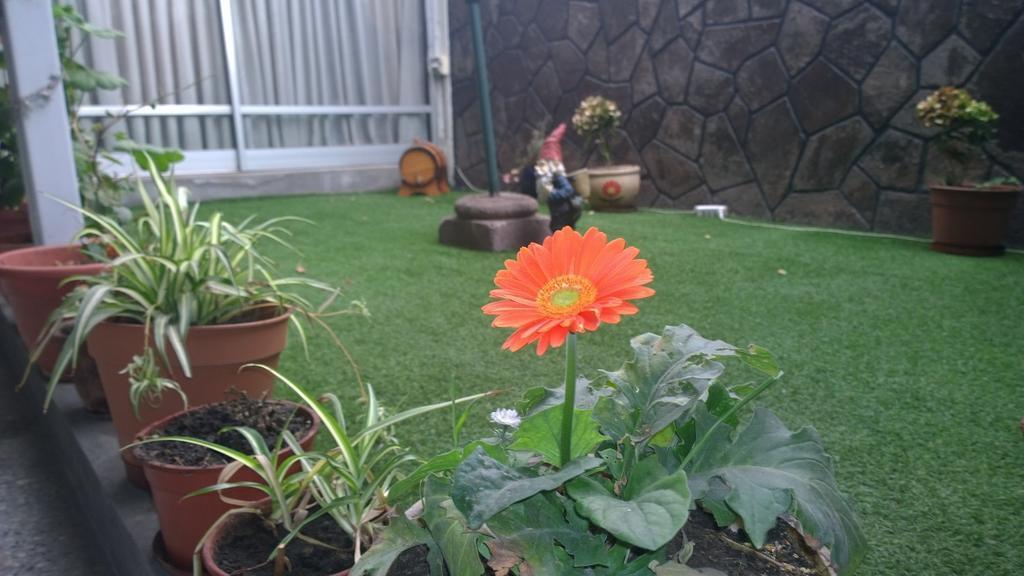 Bed & Breakfast Blumen Haus Santiago Exterior foto