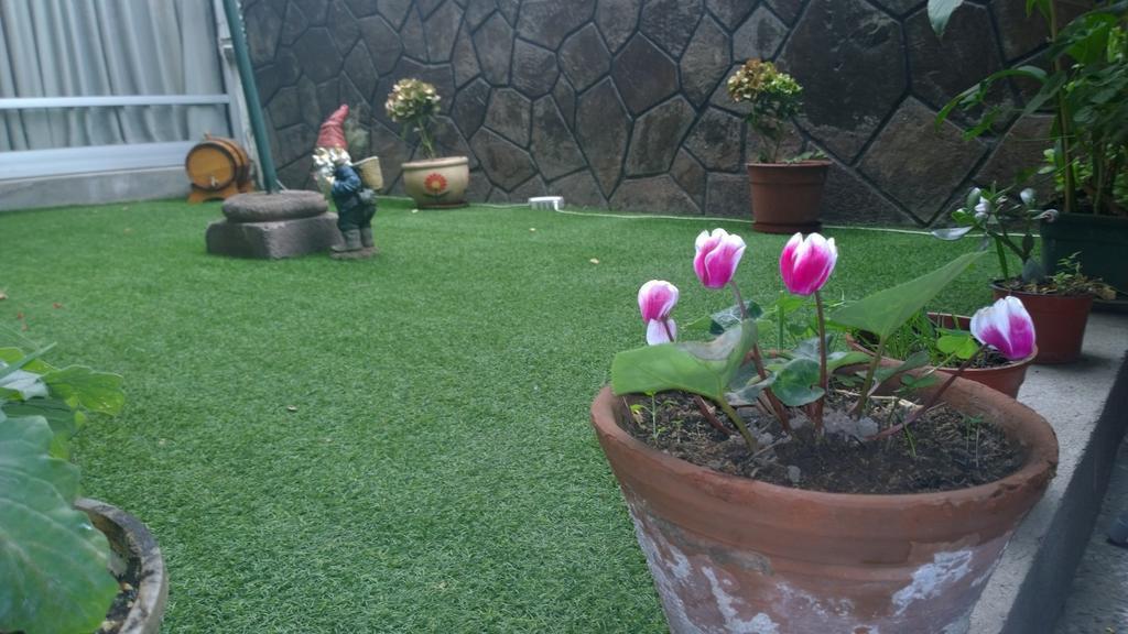 Bed & Breakfast Blumen Haus Santiago Exterior foto