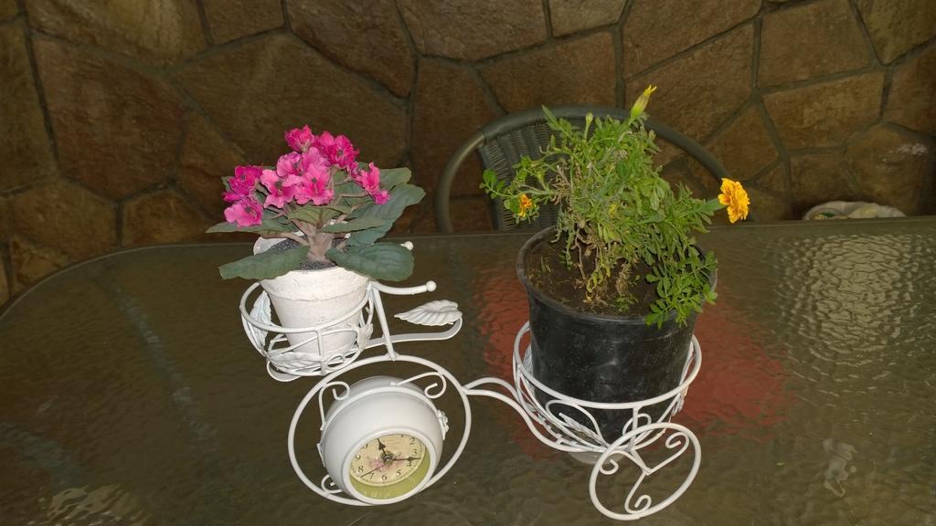 Bed & Breakfast Blumen Haus Santiago Exterior foto